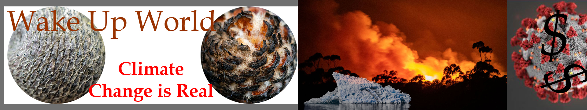 Climate Change is Real